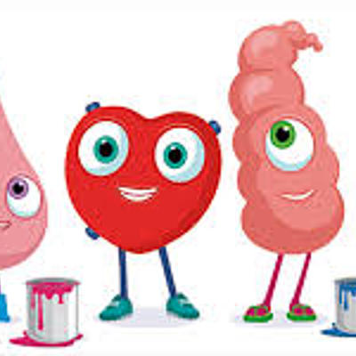 Timeline: LOS TRASPLANTES Y SU HISTORIA