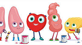 Timeline: LOS TRASPLANTES Y SU HISTORIA