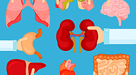 Timeline: Trasplantes