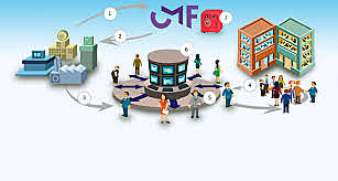 Función de los cetes