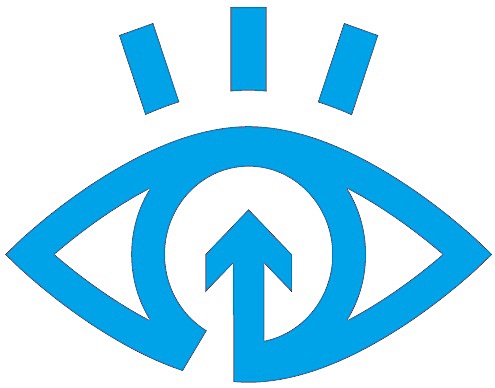 Learning Styles Began