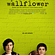 The perks of being a wallflower poster