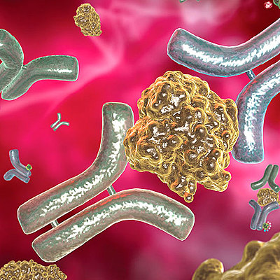 Timeline: Historia de la inmunología
