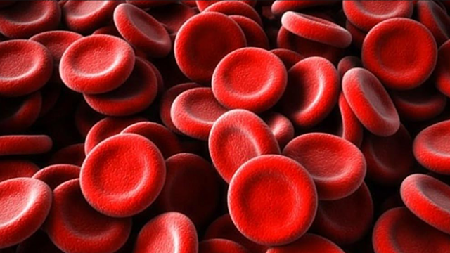 Karl Landsteiner y Alexander Wiener