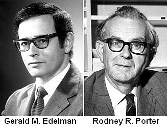 Rodney Porter y Gerald Edelman