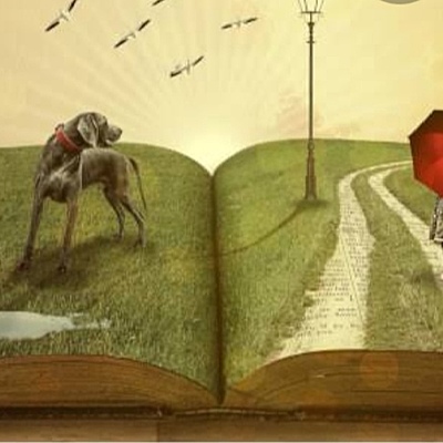 Timeline: Evolución Histórica de la Novela