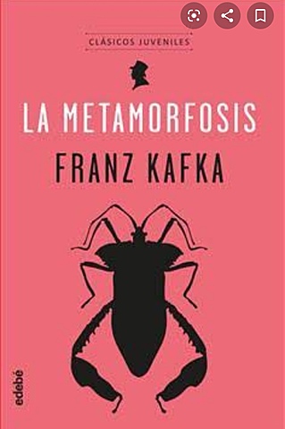 Novela simbolica conflictiva