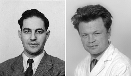 Alick Isaacs y Jean Lindenmann