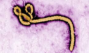 EBOLA