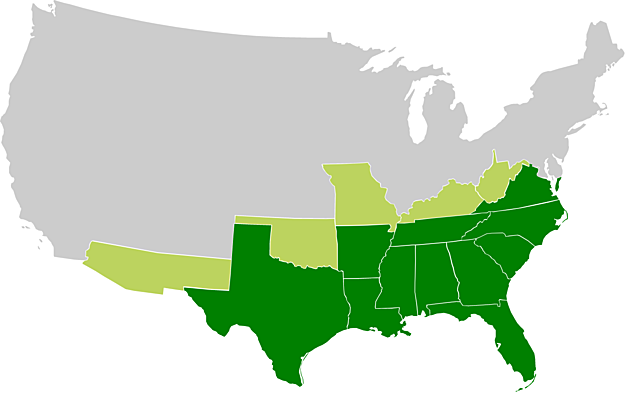 Stati Confederati d'America