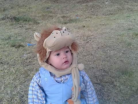 Entendiendo los sonidos y los gestos