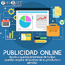 PUBLICIDAD ONLINE