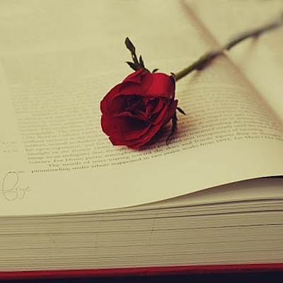 Timeline: Evolución histórica de la novela