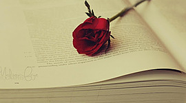 Timeline: Evolución histórica de la novela