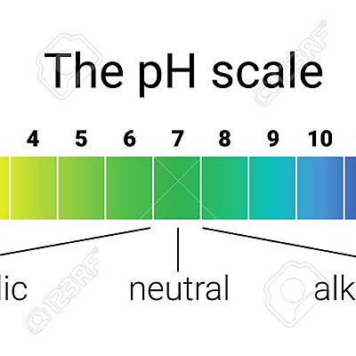 Timeline: EVOLUCIÓN: ÁCIDO Y BASE