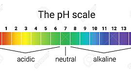 Timeline: EVOLUCIÓN: ÁCIDO Y BASE