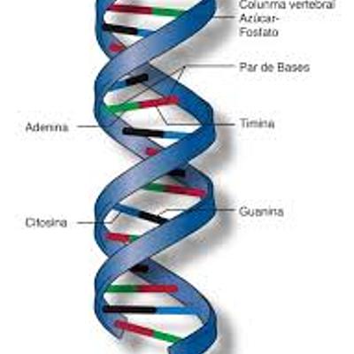 Timeline: la rama de la genetica