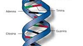 Timeline: la rama de la genetica