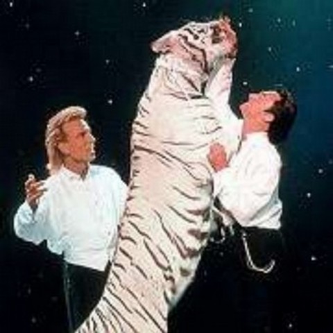 Roy Horn of Siegfried & Roy is attacked by one of the shows tigers
