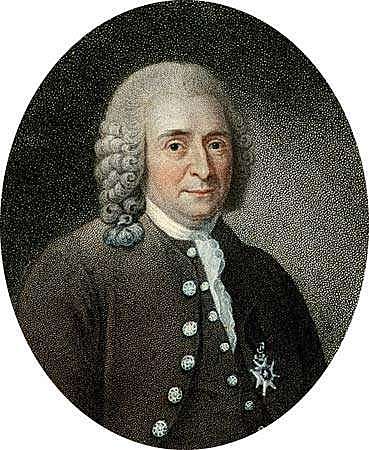 Carlos Linneo (1707 - 1778)
