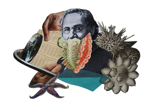 ILYA ILICH MECHNIKOV