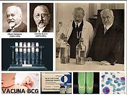 ALBERT CALMETTE Y CAMILLE GUÉRIN