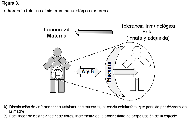 F. MACFARLANE BURNET