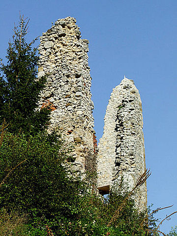 Drugič imenovani (povzdignjeni) v grofe