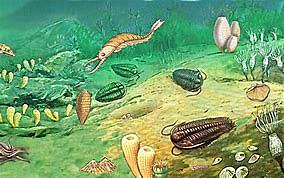 Paleozoico