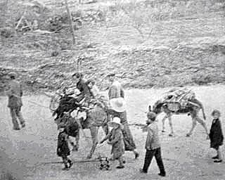 Málaga cae en poder de los franquistas, auxiliados por tropas italianas, el día 3. La inmediata represión se cobra miles de muertos.