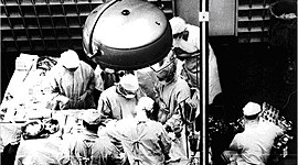 Timeline: transplantes- cultura cientifica