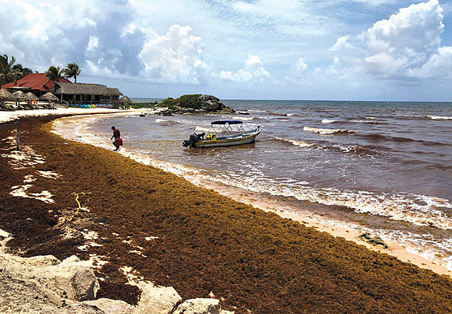 2015: El año de la luz