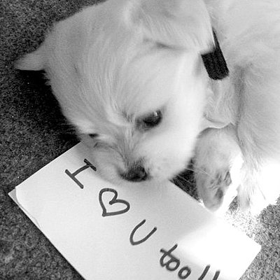 Timeline: როგორ ვატარებ დროს კარანტინში