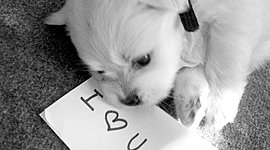 Timeline: როგორ ვატარებ დროს კარანტინში