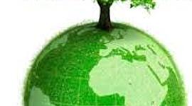 Timeline: მწვანე დედამიწა