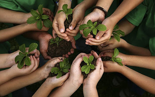 ¿ Que papel tiene el bien común hoy?