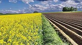 Timeline: Historia de la Agricultura