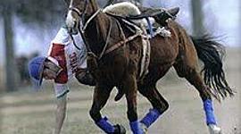 Timeline: Bringing Pato to America