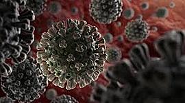 Timeline: Coronavirus
