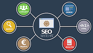 Suerge en la WEB - SEO Search Engine Optimization.