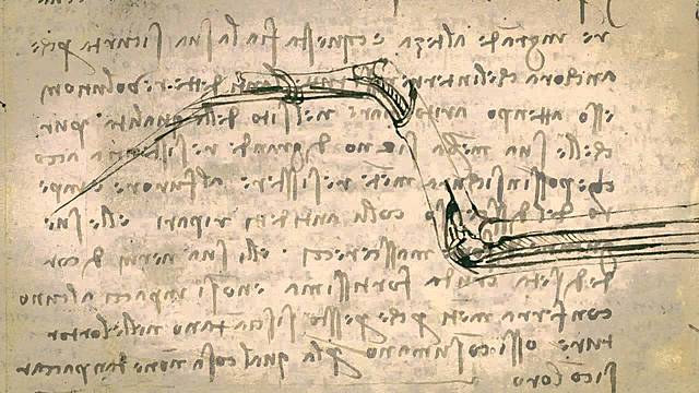 Còdex del vol dels ocells