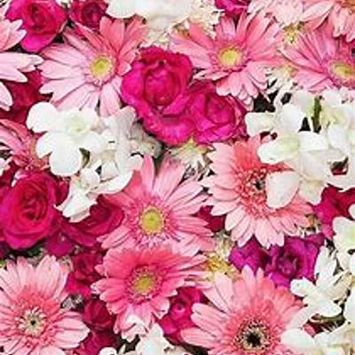 Timeline: Modelos educativos