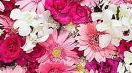 Timeline: Modelos educativos