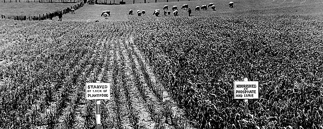 Tennessee Valley Authority