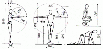 Medidas antropometricas
