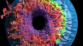 Timeline: Introducción al concepto y contenido de la Microbilogía