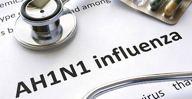 Brote de la influenza AH1N1