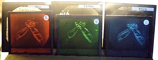 Patentan la primera placa fotográfica a color (hermanos Lumière)