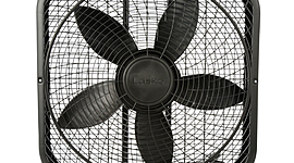 Timeline: History of the fan