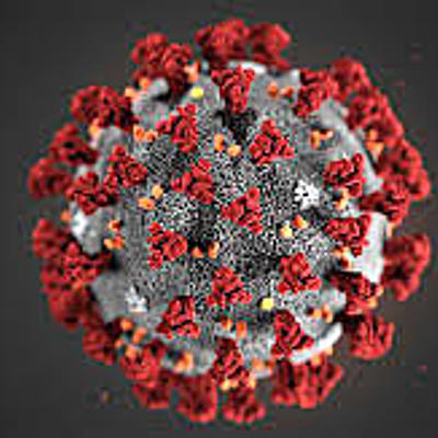 Timeline: Coronavirus